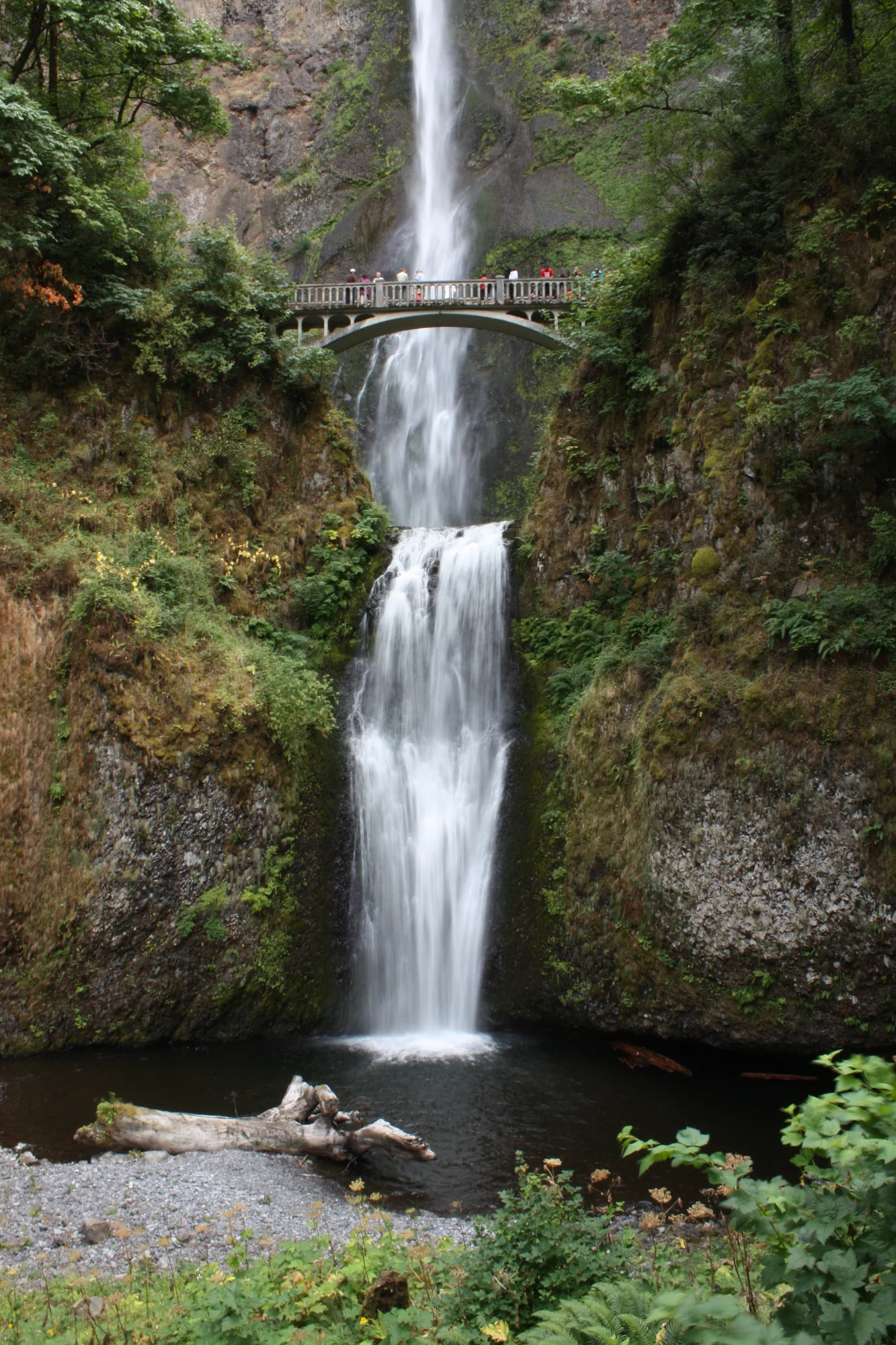 A waterfall dropping through a mossy forest gorge